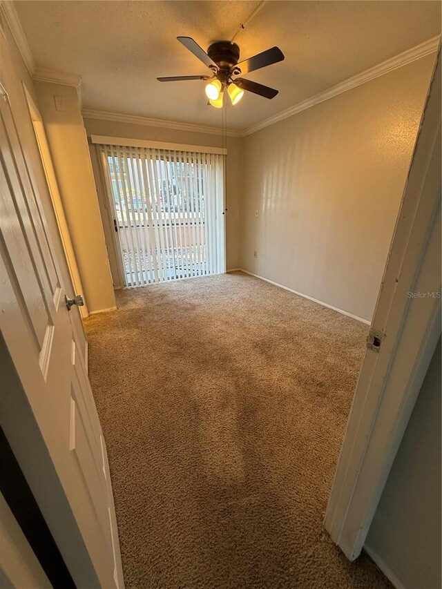 131 Water Front Way Unit 110, Altamonte Springs, FL 32701 - empty room with baseboards, ornamental molding, a ceiling fan, and carpet flooring