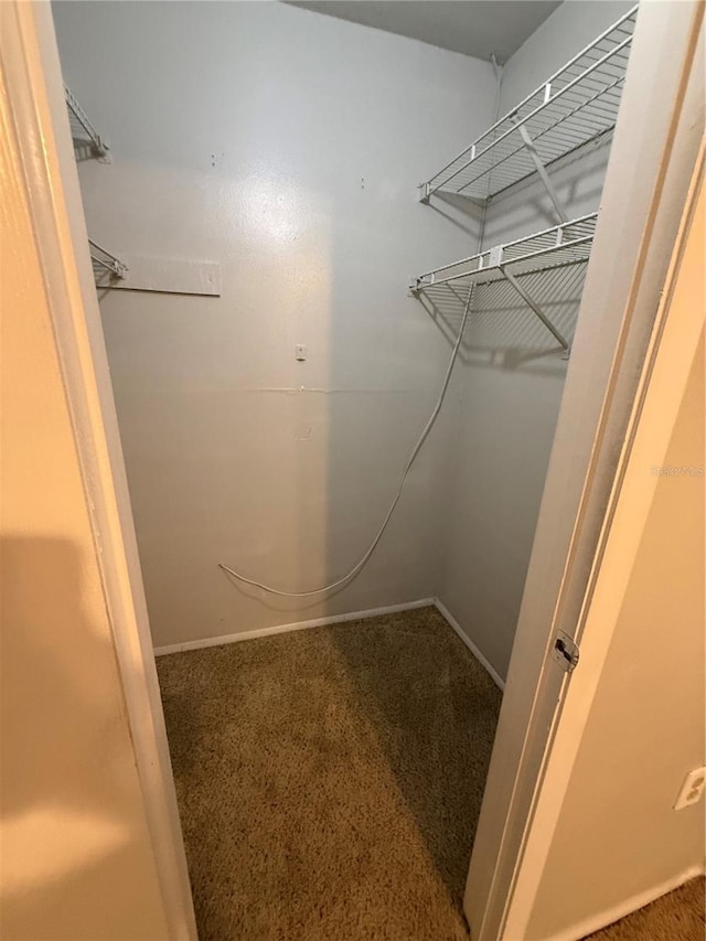 131 Water Front Way Unit 110, Altamonte Springs, FL 32701 - walk in closet with carpet floors