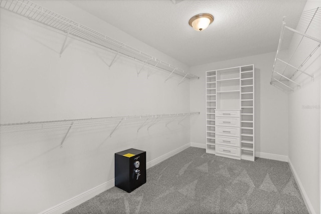 16124 Azure Key St, Winter Garden, FL 34787 - walk in closet with carpet