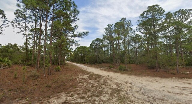 401 Wind Rose Ave, Lake Placid, FL 33852 - photo 1