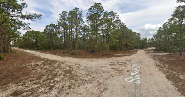 401 Wind Rose Ave, Lake Placid, FL 33852 - photo 4