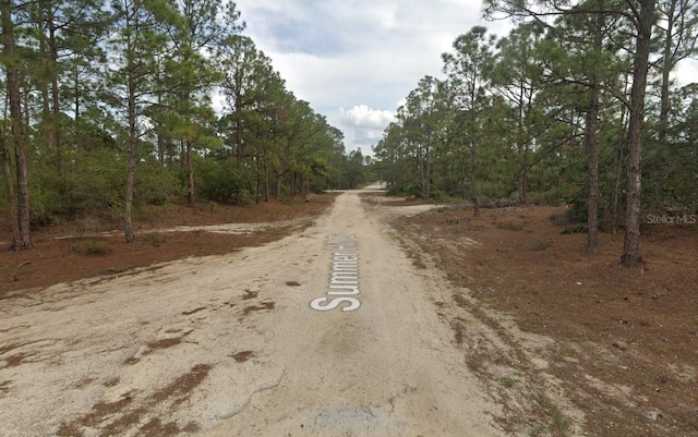401 Wind Rose Ave, Lake Placid, FL 33852 - photo 5
