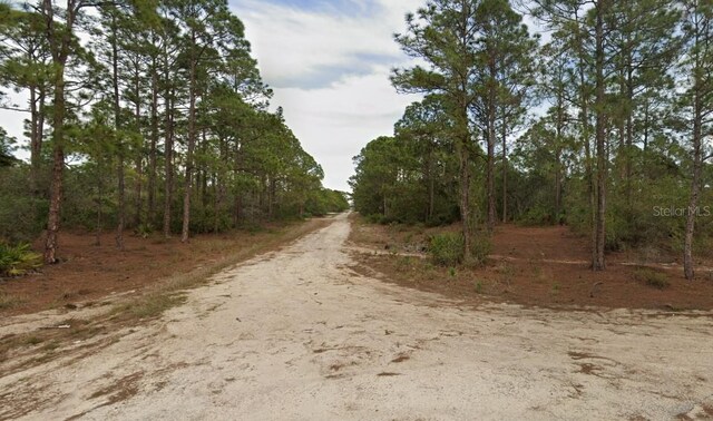401 Wind Rose Ave, Lake Placid, FL 33852 - photo 6