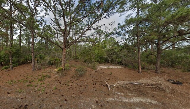 401 Wind Rose Ave, Lake Placid, FL 33852 - photo 8