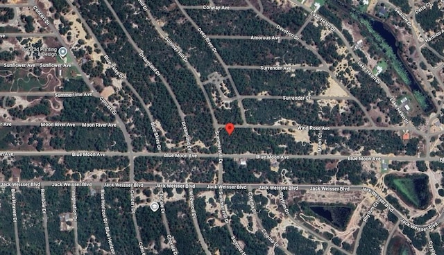 401 Wind Rose Ave, Lake Placid, FL 33852 - photo 10
