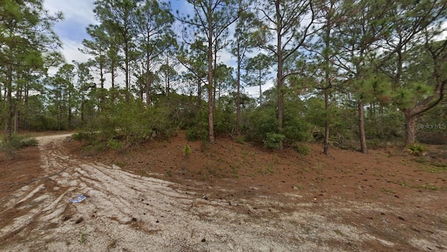 401 Wind Rose Ave, Lake Placid, FL 33852 - photo 7