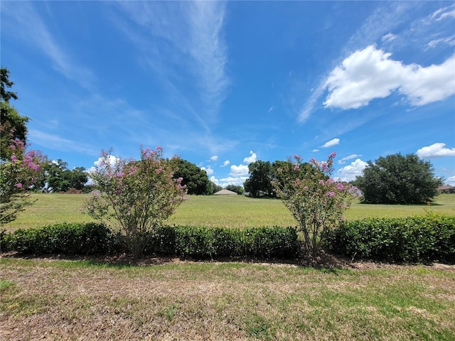 603 Sanctuary Golf Pl, Apopka, FL 32712 - view of yard