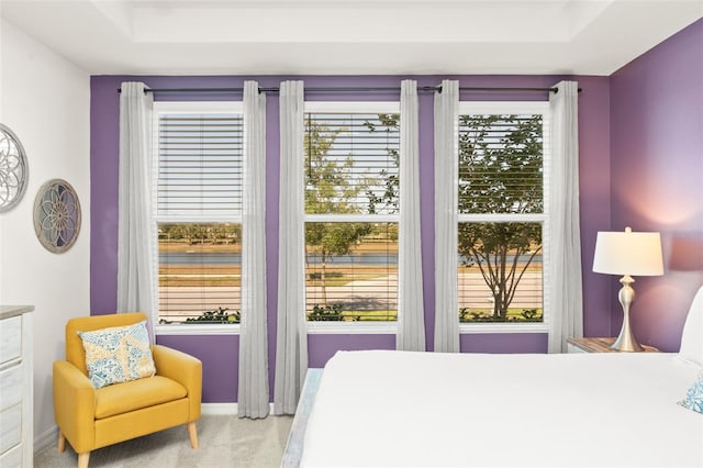bedroom with a raised ceiling, carpet, and multiple windows