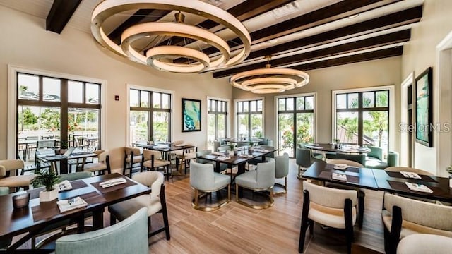 dining area with a chandelier, a wealth of natural light, beam ceiling, and wood finished floors