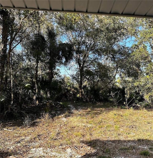 210 Church St, Davenport, FL 33896 - view of yard