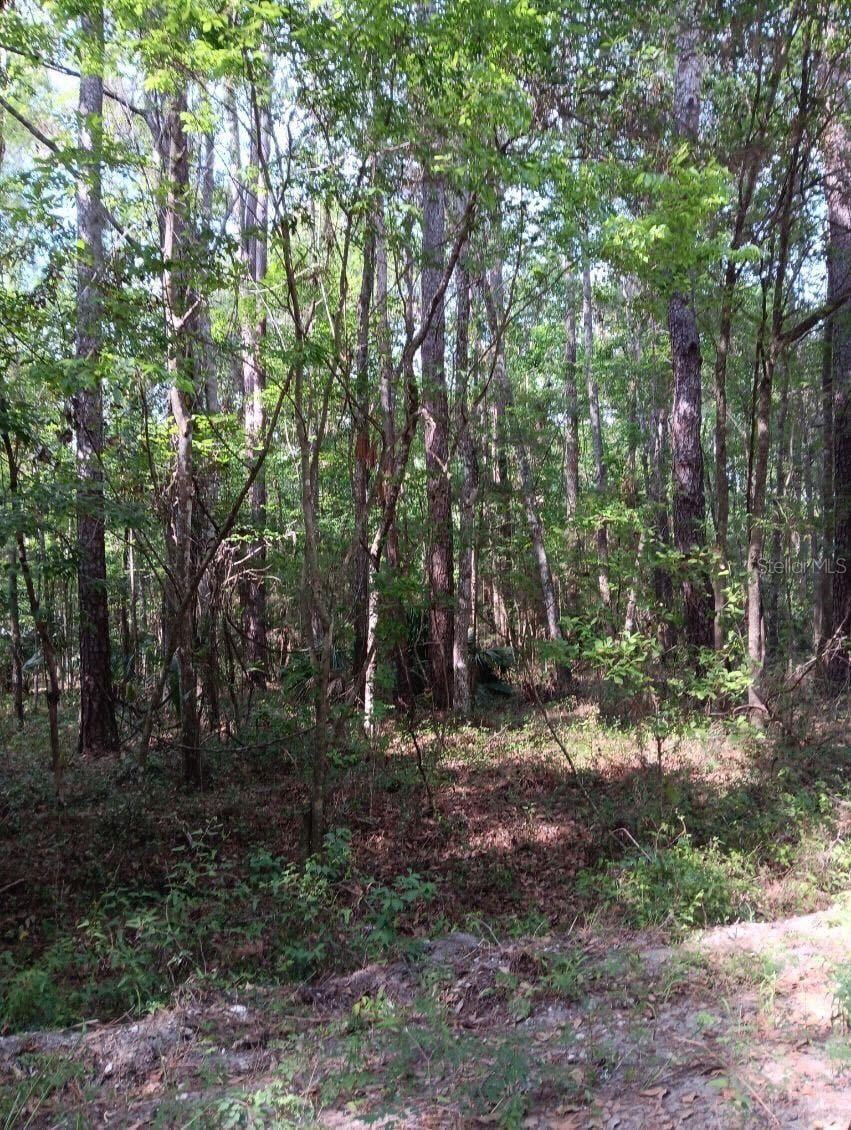 SW 18th Pl, Ocala, FL 34481