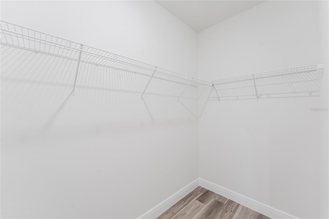walk in closet featuring light wood-style flooring
