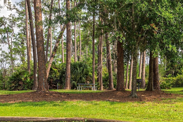 50989 Hwy 27 Unit 371, Davenport, FL 33897 - view of yard