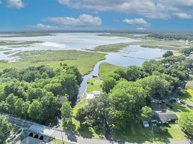 1003 Shore Dr, Kissimmee, FL 34744 - aerial view with a water view