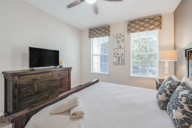 9007 Pelican Cove Trce, Kissimmee, FL 34747 - photo 5
