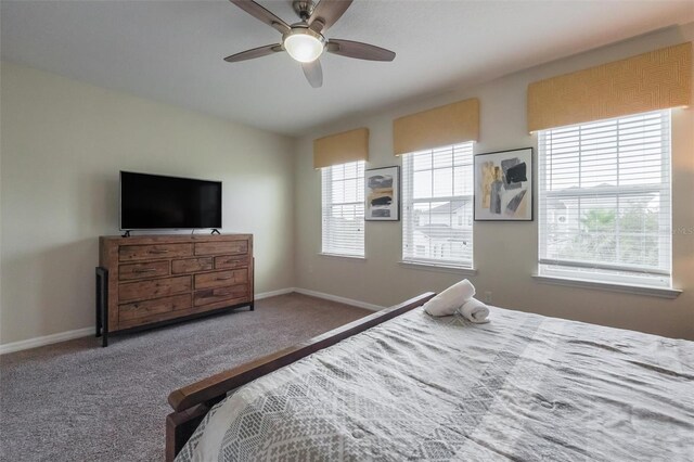 9007 Pelican Cove Trce, Kissimmee, FL 34747 - photo 27