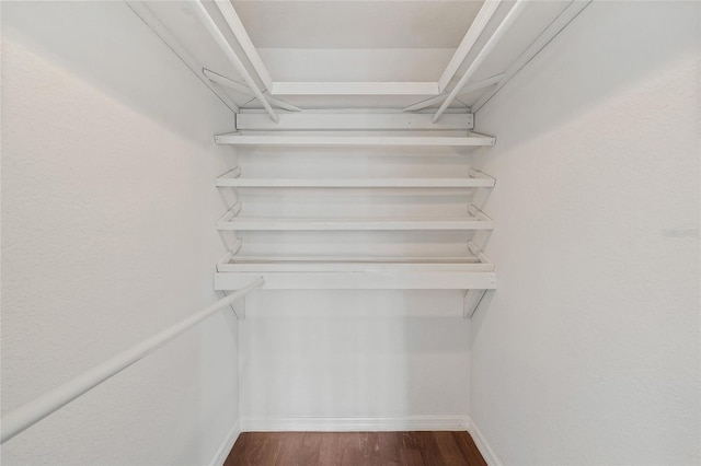 390 Lake Placid Ct Unit 304, Altamonte Springs, FL 32701 - walk in closet featuring dark wood finished floors