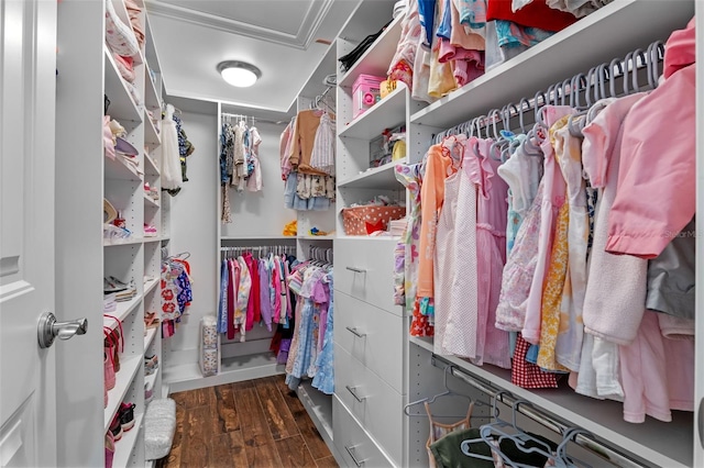 spacious closet with wood finished floors