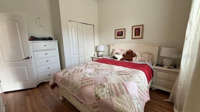 7415 Devereaux St, Reunion, FL 34747 - bedroom featuring wood finished floors and a closet