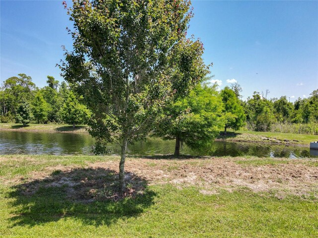 12822 Moss Park Ridge Dr, Orlando, FL 32832 - photo 68