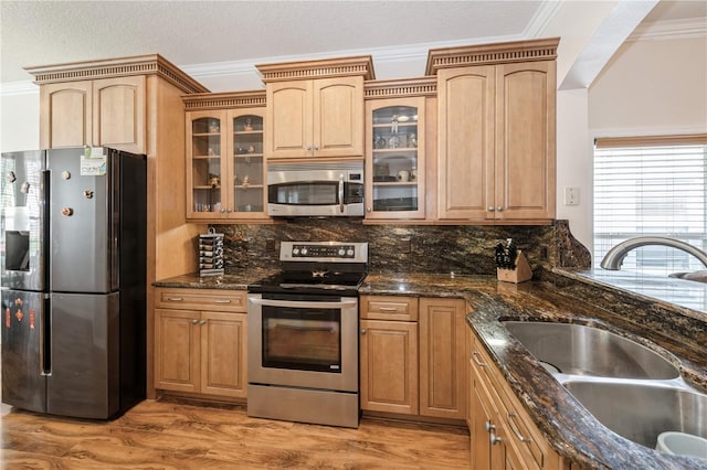 14208 Morning Frost Dr, Orlando, FL 32828 - kitchen featuring dark stone countertops, decorative backsplash, stainless steel appliances, and a sink