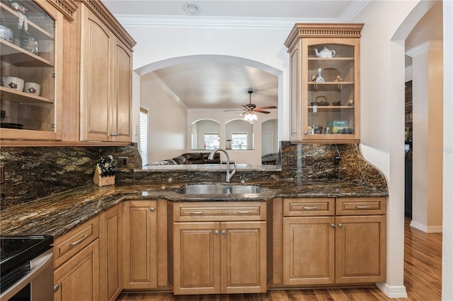 14208 Morning Frost Dr, Orlando, FL 32828 - kitchen featuring ceiling fan, dark stone countertops, arched walkways, and a sink