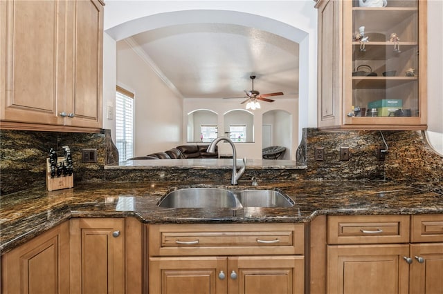 14208 Morning Frost Dr, Orlando, FL 32828 - kitchen featuring glass insert cabinets, a ceiling fan, a sink, decorative backsplash, and ornamental molding