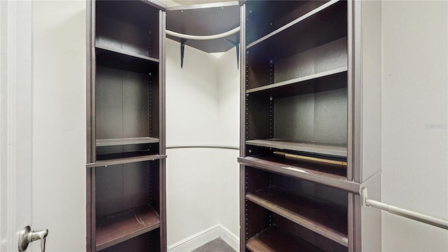 4002 Scarlet Branch Rd, Orlando, FL 32824 - view of spacious closet