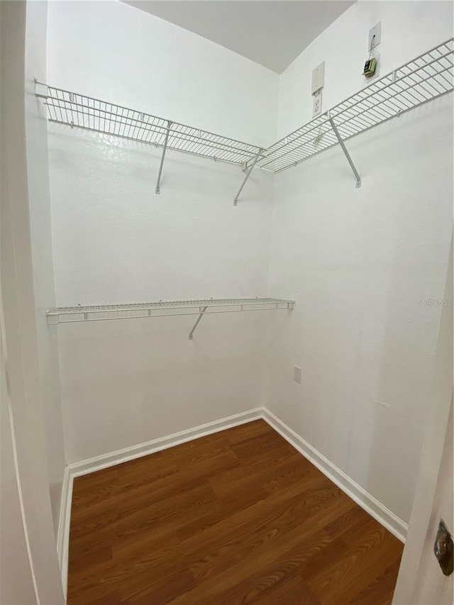 walk in closet with wood finished floors