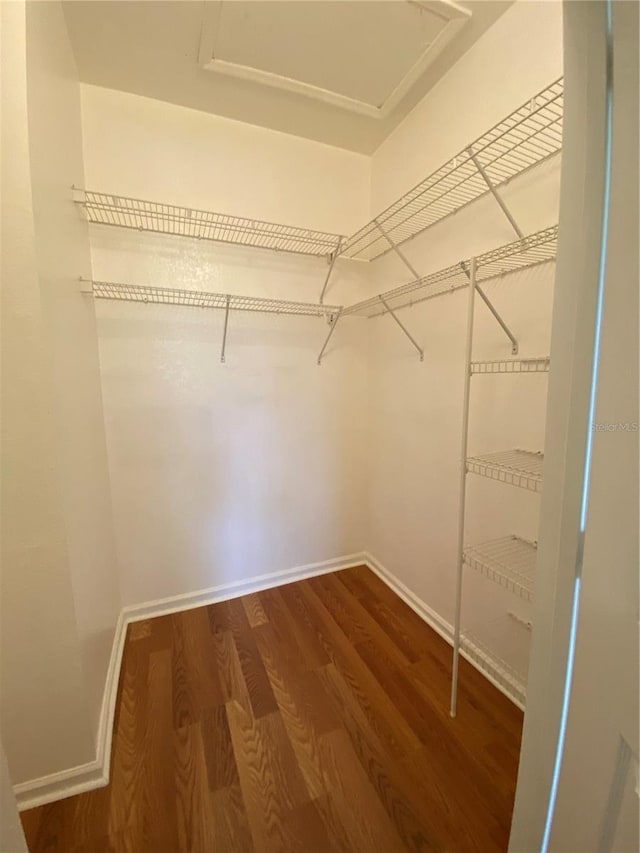 walk in closet with dark wood-type flooring