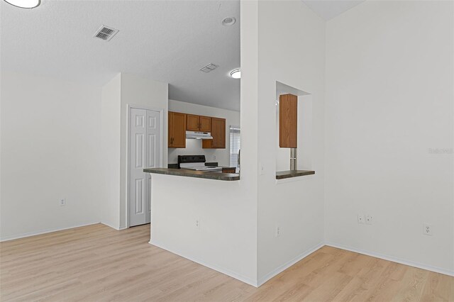 11460 Brown Quail Ct, Orlando, FL 32817 - kitchen featuring electric stove, brown cabinets, under cabinet range hood, light wood finished floors, and dark countertops