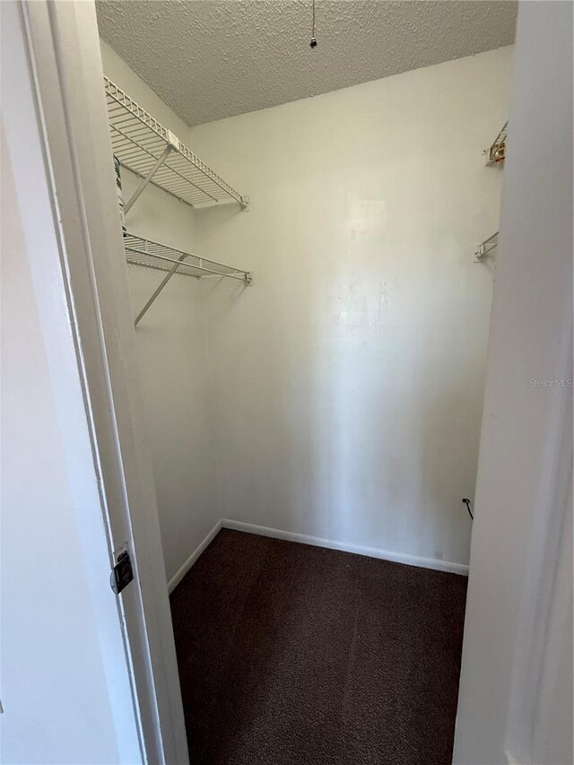 128 Water Front Way Unit 300, Altamonte Springs, FL 32701 - walk in closet with dark colored carpet