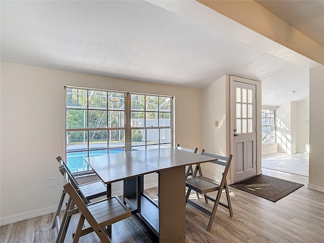 21940 Dupree Dr, Land O Lakes, FL 34639 - dining area with baseboards, wood finished floors, and a healthy amount of sunlight