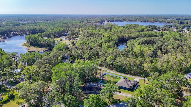 21940 Dupree Dr, Land O Lakes, FL 34639 - aerial view with a water view and a forest view