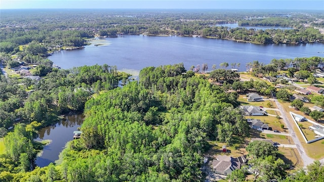 21940 Dupree Dr, Land O Lakes, FL 34639 - aerial view with a residential view, a view of trees, and a water view