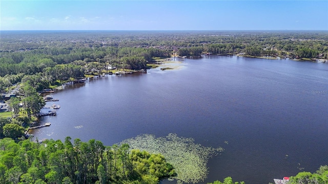 21940 Dupree Dr, Land O Lakes, FL 34639 - drone / aerial view with a view of trees and a water view