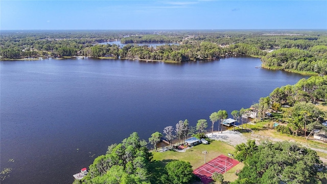 21940 Dupree Dr, Land O Lakes, FL 34639 - bird's eye view with a water view and a view of trees