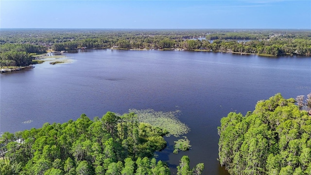 21940 Dupree Dr, Land O Lakes, FL 34639 - aerial view with a water view and a wooded view