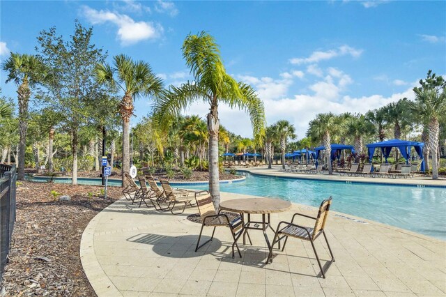 4201 Oakview Dr, Davenport, FL 33837 - community pool with a patio