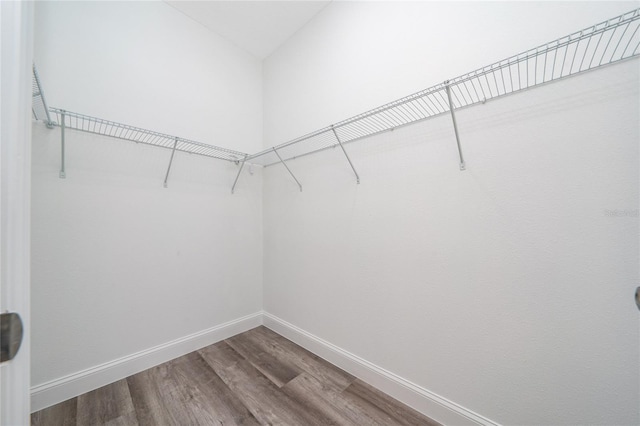 6257 SW 153 Rd Ln, Ocala, FL 34473 - spacious closet with wood finished floors