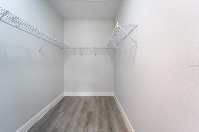 59 W 10th St, Apopka, FL 32703 - spacious closet featuring wood finished floors