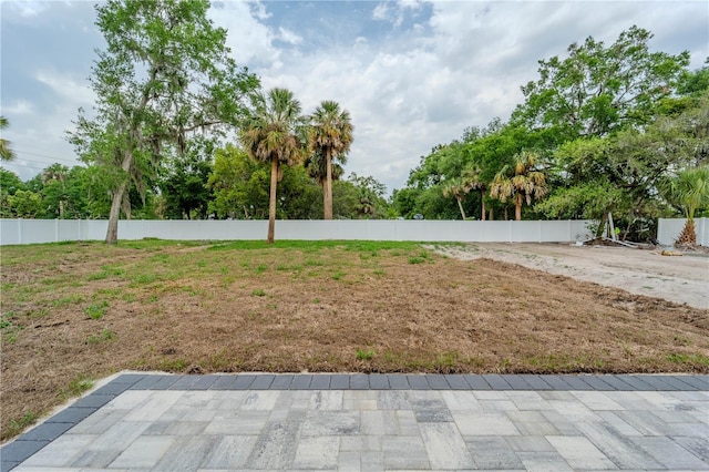 59 W 10th St, Apopka, FL 32703 - view of yard
