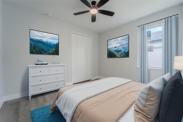 59 W 10th St, Apopka, FL 32703 - bedroom featuring wood finished floors, a closet, and a ceiling fan