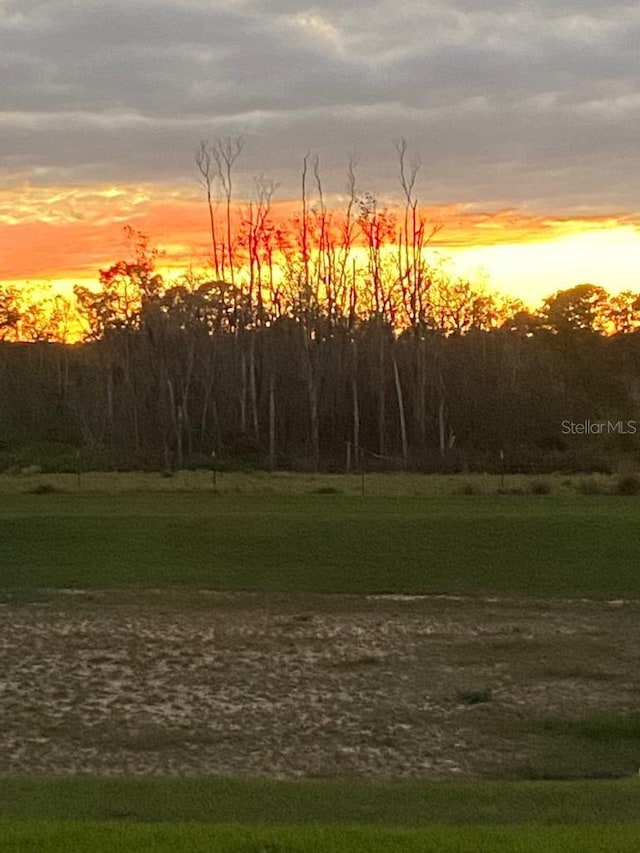 view of nature at dusk