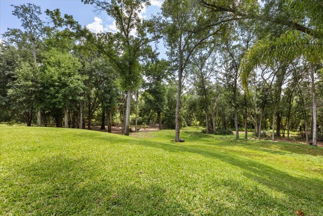 16500 Magnolia Terrace Blvd, Montverde, FL 34756 - view of grassy yard