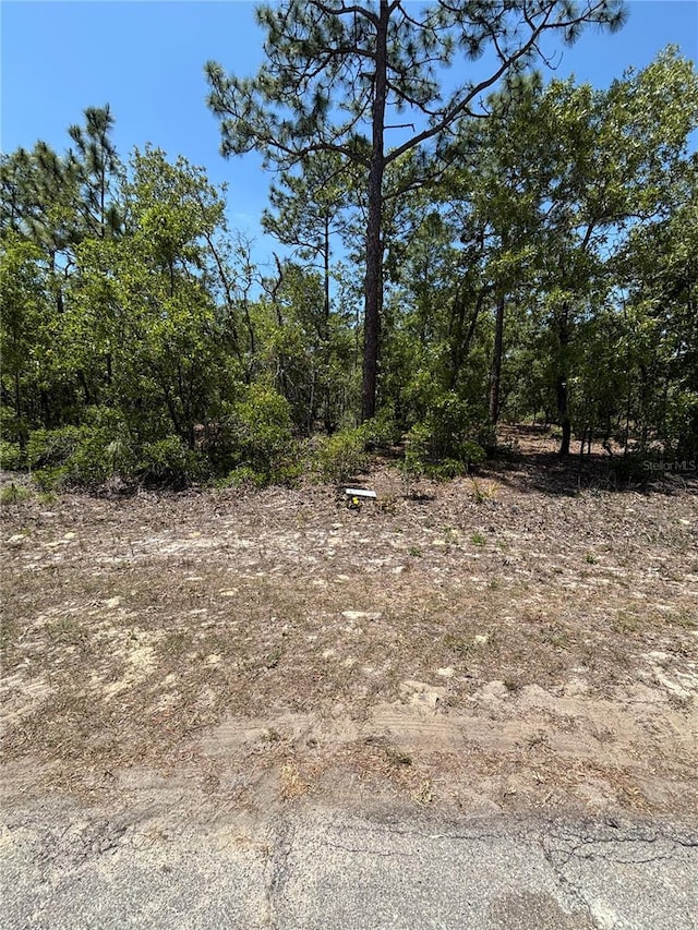 9898 N Lathyrus Ter, Dunnellon, FL 34433
