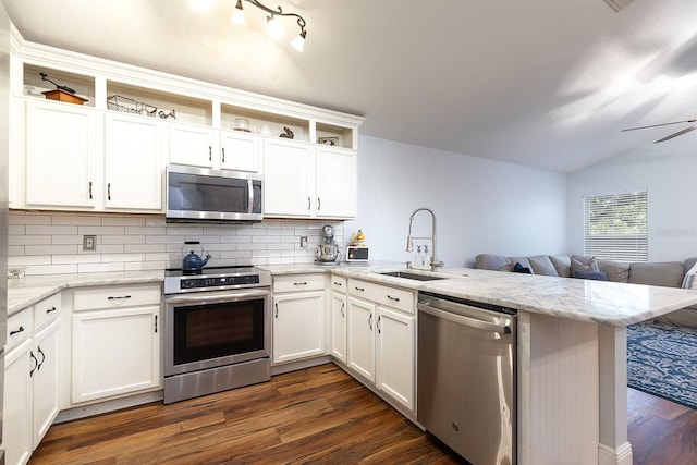 kitchen featuring appliances with stainless steel finishes, a sink, a peninsula, open floor plan, and backsplash