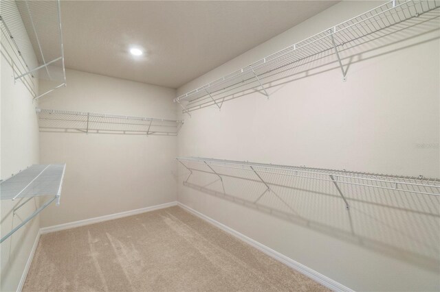 9662 Passaic Pkwy, Orlando, FL 32829 - photo 24