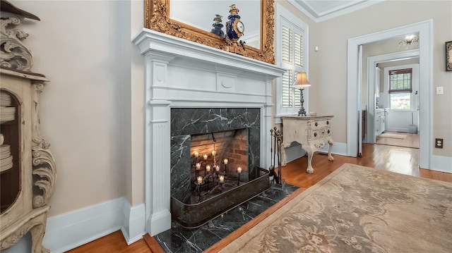 details with baseboards, wood finished floors, a fireplace, and ornamental molding