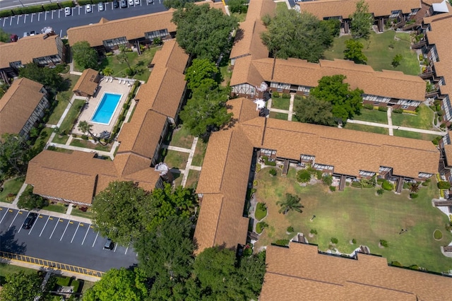 drone / aerial view